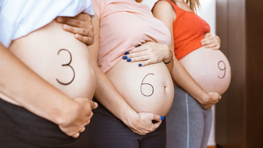 Mẹ bầu thay đổi như thế nào trong từng tam cá nguyệt?