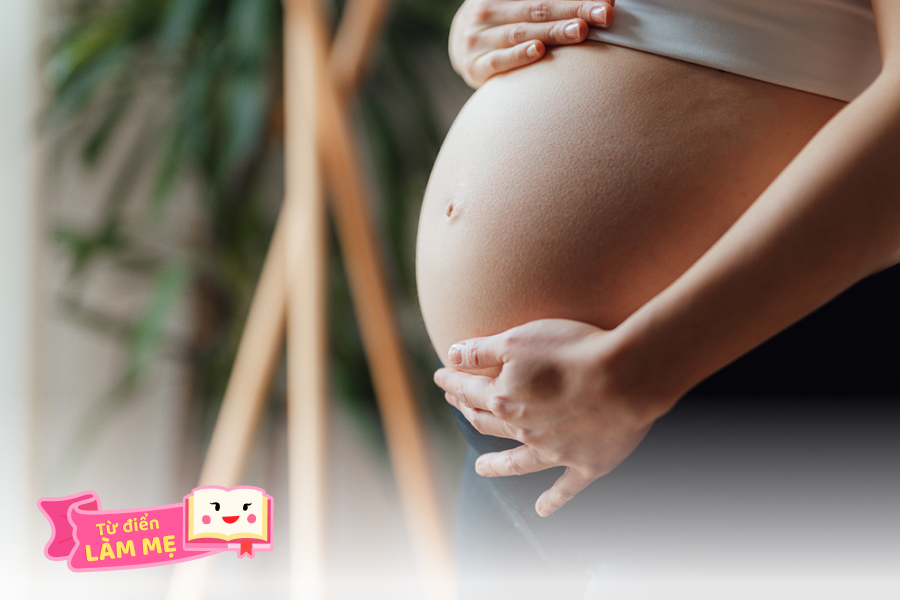 'Chửa trâu' là gì?