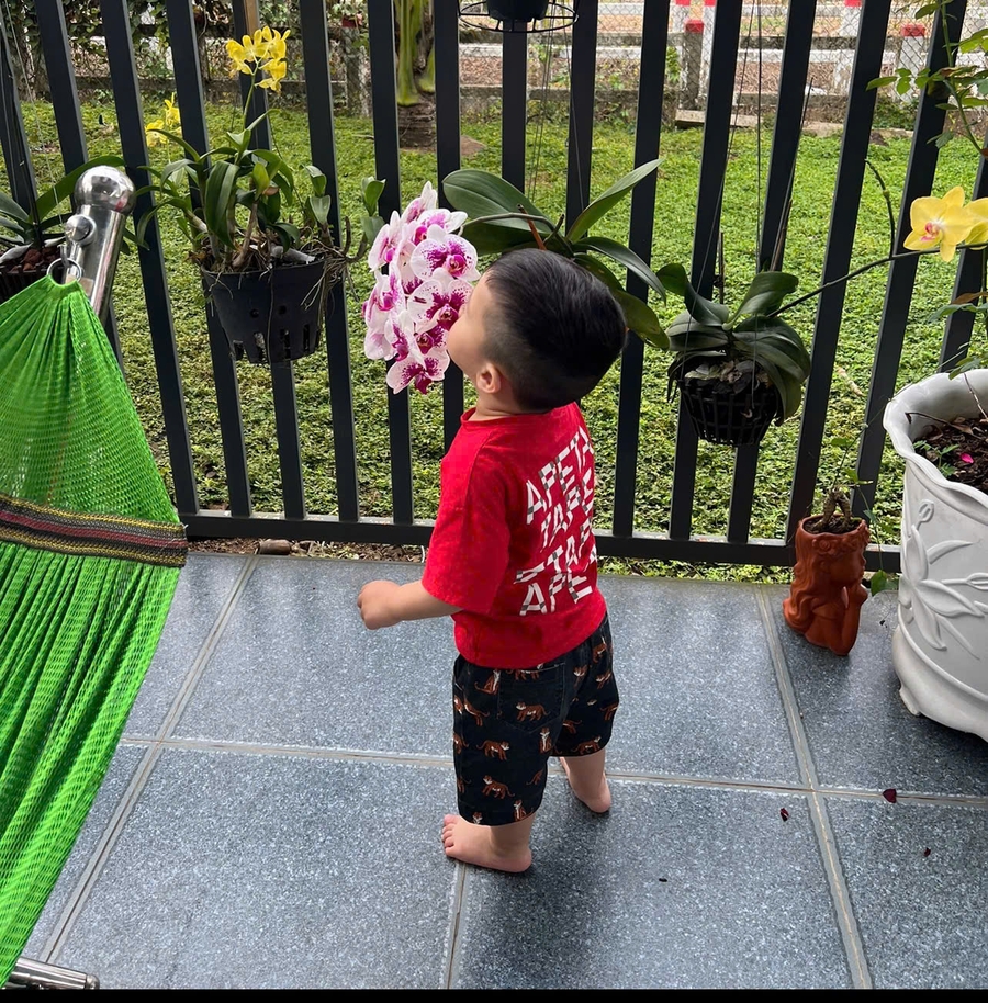 Đinh Thị Mỵ
