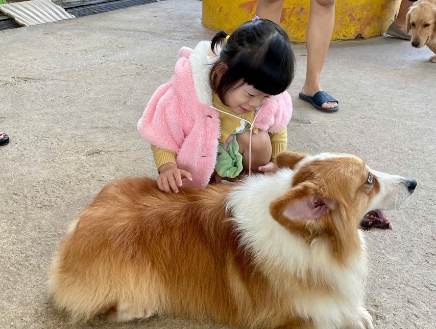 Đi-cùng-con một ngày đàng, học được cả ngàn sàng khôn